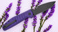 Bestech Knives Bestechman Goodboy Button Lock Folding Knife 3.54" D2 Black DLC Drop Point Blade, Purple G10 Handles, Liner Lock - BMK04F