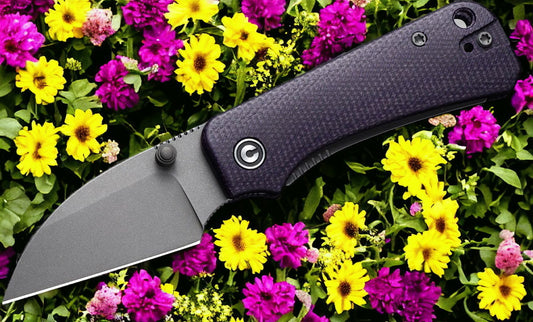 CIVIVI Knives C19068SC-2 Ben Petersen Baby Banter Folding Knife 2.32" Nitro-V Stonewashed Wharncliffe Blade, Purple Canvas Micarta Handles, Liner Lock