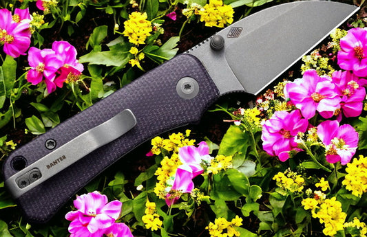 CIVIVI Knives C19068SC-2 Ben Petersen Baby Banter Folding Knife 2.32" Nitro-V Stonewashed Wharncliffe Blade, Purple Canvas Micarta Handles, Liner Lock